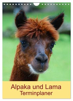 Alpaka und Lama Terminplaner (Wandkalender 2024 DIN A4 hoch), CALVENDO Monatskalender