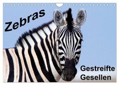 Zebras - Gestreifte Gesellen (Wandkalender 2024 DIN A4 quer), CALVENDO Monatskalender - Stern, Angelika