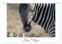 Zebras - Afrikas Wildpferde (Tischkalender 2024 DIN A5 quer), CALVENDO Monatskalender