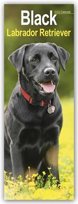 Black Labrador Retriever - Schwarze Labrador Retriever 2024 - Avonside Publisher Ltd