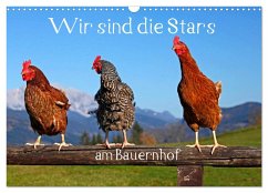 Wir sind die Stars am Bauernhof (Wandkalender 2024 DIN A3 quer), CALVENDO Monatskalender