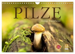 Pilze - fleißige Waldarbeiter (Wandkalender 2024 DIN A4 quer), CALVENDO Monatskalender