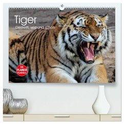 Tiger. Gestreift, wild und schön (hochwertiger Premium Wandkalender 2024 DIN A2 quer), Kunstdruck in Hochglanz