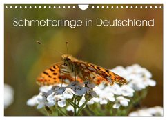 Schmetterlinge in Deutschland (Wandkalender 2024 DIN A4 quer), CALVENDO Monatskalender - Freiberg - Fotografie Licht & Schatten, Thomas