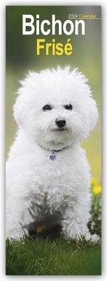 Bichon Frisé 2024 - Avonside Publishing Ltd