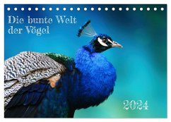 Die bunte Welt der Vögel (Tischkalender 2024 DIN A5 quer), CALVENDO Monatskalender