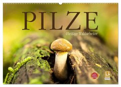 Pilze - fleißige Waldarbeiter (Wandkalender 2024 DIN A2 quer), CALVENDO Monatskalender - Wuchenauer - Pixelrohkost, Markus
