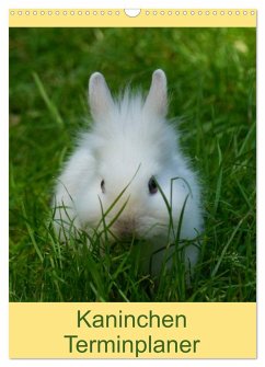 Kaninchen Terminplaner (Wandkalender 2024 DIN A3 hoch), CALVENDO Monatskalender - Kattobello