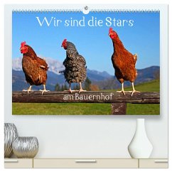 Wir sind die Stars am Bauernhof (hochwertiger Premium Wandkalender 2024 DIN A2 quer), Kunstdruck in Hochglanz - Kramer, Christa