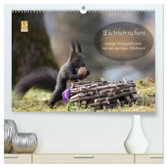 Eichhörnchen - Lustige Kurzgeschichten mit den quirligen Wildtieren (hochwertiger Premium Wandkalender 2024 DIN A2 quer), Kunstdruck in Hochglanz
