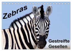 Zebras - Gestreifte Gesellen (Tischkalender 2024 DIN A5 quer), CALVENDO Monatskalender