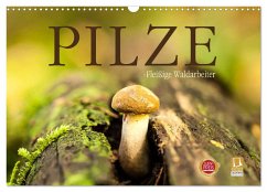 Pilze - fleißige Waldarbeiter (Wandkalender 2024 DIN A3 quer), CALVENDO Monatskalender