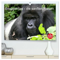 Berggorillas - die sanften Riesen (hochwertiger Premium Wandkalender 2024 DIN A2 quer), Kunstdruck in Hochglanz
