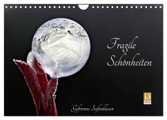 Fragile Schönheiten - Gefrorene Seifenblasen (Wandkalender 2024 DIN A4 quer), CALVENDO Monatskalender