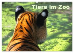 Tiere im Zoo (Wandkalender 2024 DIN A2 quer), CALVENDO Monatskalender