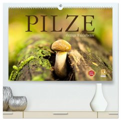 Pilze - fleißige Waldarbeiter (hochwertiger Premium Wandkalender 2024 DIN A2 quer), Kunstdruck in Hochglanz - Wuchenauer - Pixelrohkost, Markus