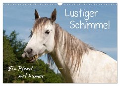 Lustiger Schimmel - ein Pferd mit Humor (Wandkalender 2024 DIN A3 quer), CALVENDO Monatskalender