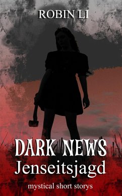 Dark News - Jenseitsjagd (eBook, ePUB) - Li, Robin