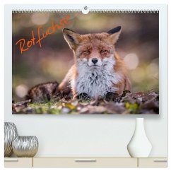 Rotfüchse (hochwertiger Premium Wandkalender 2024 DIN A2 quer), Kunstdruck in Hochglanz