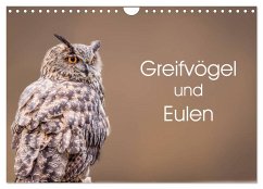 Greifvögel und Eulen (Wandkalender 2024 DIN A4 quer), CALVENDO Monatskalender - van Hauten, Markus