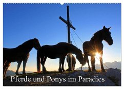 Pferde und Ponys im Paradies (Wandkalender 2024 DIN A2 quer), CALVENDO Monatskalender