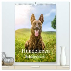 Hundeleben Schäferhund (hochwertiger Premium Wandkalender 2024 DIN A2 hoch), Kunstdruck in Hochglanz - Schuberts-Fotografie