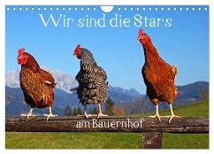 Wir sind die Stars am Bauernhof (Wandkalender 2024 DIN A4 quer), CALVENDO Monatskalender - Kramer, Christa