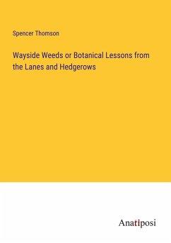 Wayside Weeds or Botanical Lessons from the Lanes and Hedgerows - Thomson, Spencer