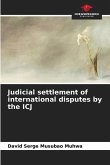 Judicial settlement of international disputes by the ICJ