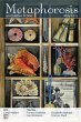 Metaphorosis May 2023 - Bild 1