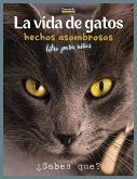 La Vida De Gatos La Vida De Gatos