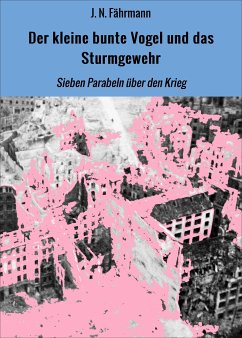 Der kleine bunte Vogel und das Sturmgewehr (eBook, ePUB) - Fährmann, J. N.