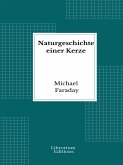 Naturgeschichte einer Kerze (eBook, ePUB)