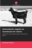 Antioxidante vegetal na reprodução de cabras