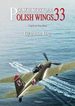 Polish Wings No. 33 Ilyushin Il-2 - Zmyslony, Wojciech; Olejniczak, Andrzej M.