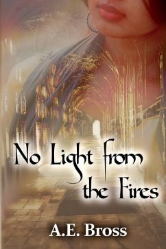 Cover No Light from the Fires: Sands of Theia Book III