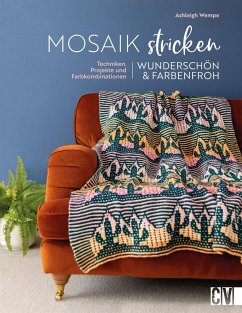 Mosaik stricken - wunderschön und farbenfroh - Wempe, Ashleigh