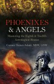 Phoenixes & Angels (eBook, ePUB)