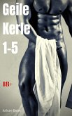 Geile Kerle 1-5 (eBook, ePUB)