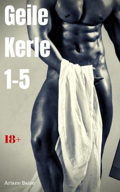 Geile Kerle 1-5 (eBook, ePUB) - Baise, Ariane