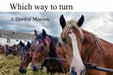 Which Way to Turn (eBook, ePUB)