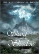 The Shard and the Shadow (eBook, ePUB) - Bild 1