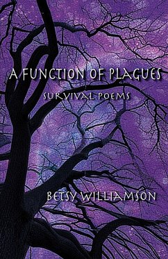 Cover A Function of Plagues (eBook, ePUB)