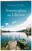 Sommerglanz am Liliensee (eBook, ePUB)