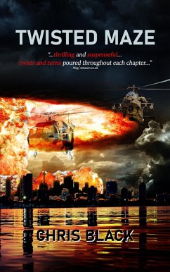 Twisted Maze (eBook, ePUB) - Black, Chris