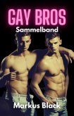 Gay Bros Sammelband (eBook, ePUB)