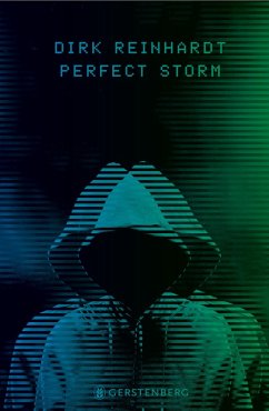 Perfect Storm (eBook, ePUB) - Reinhardt, Dirk