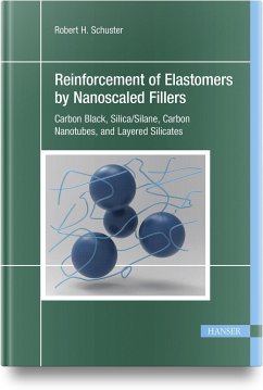 Reinforcement of Elastomers by Nanoscaled Fillers - Schuster, Robert H.