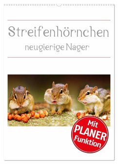 Streifenhörnchen - neugierige Nager (Wandkalender 2024 DIN A2 hoch), CALVENDO Monatskalender
