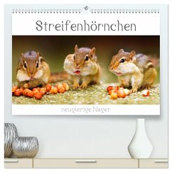 Streifenhörnchen - neugierige Nager (hochwertiger Premium Wandkalender 2024 DIN A2 quer), Kunstdruck in Hochglanz